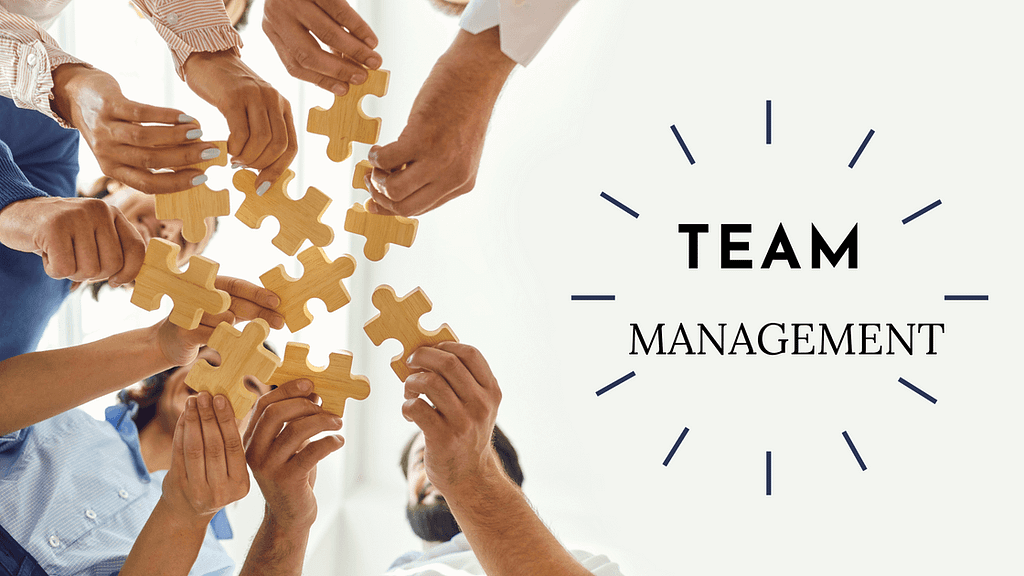 Team management software